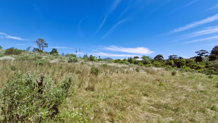 Commercial Property for Sale in Napier Western Cape